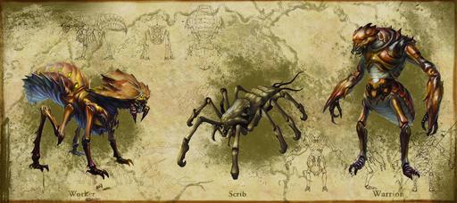 Elder Scrolls Online, The - Разработчики показали измененного Кваму